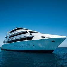 Voyage plongée Egypte Mer Rouge 2022